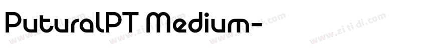PuturalPT Medium字体转换